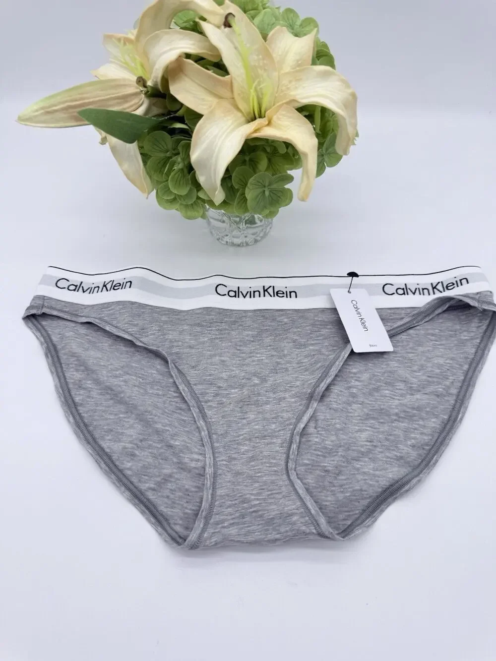 Calvin Klein Women's Modern Cotton Bikini f3787 S